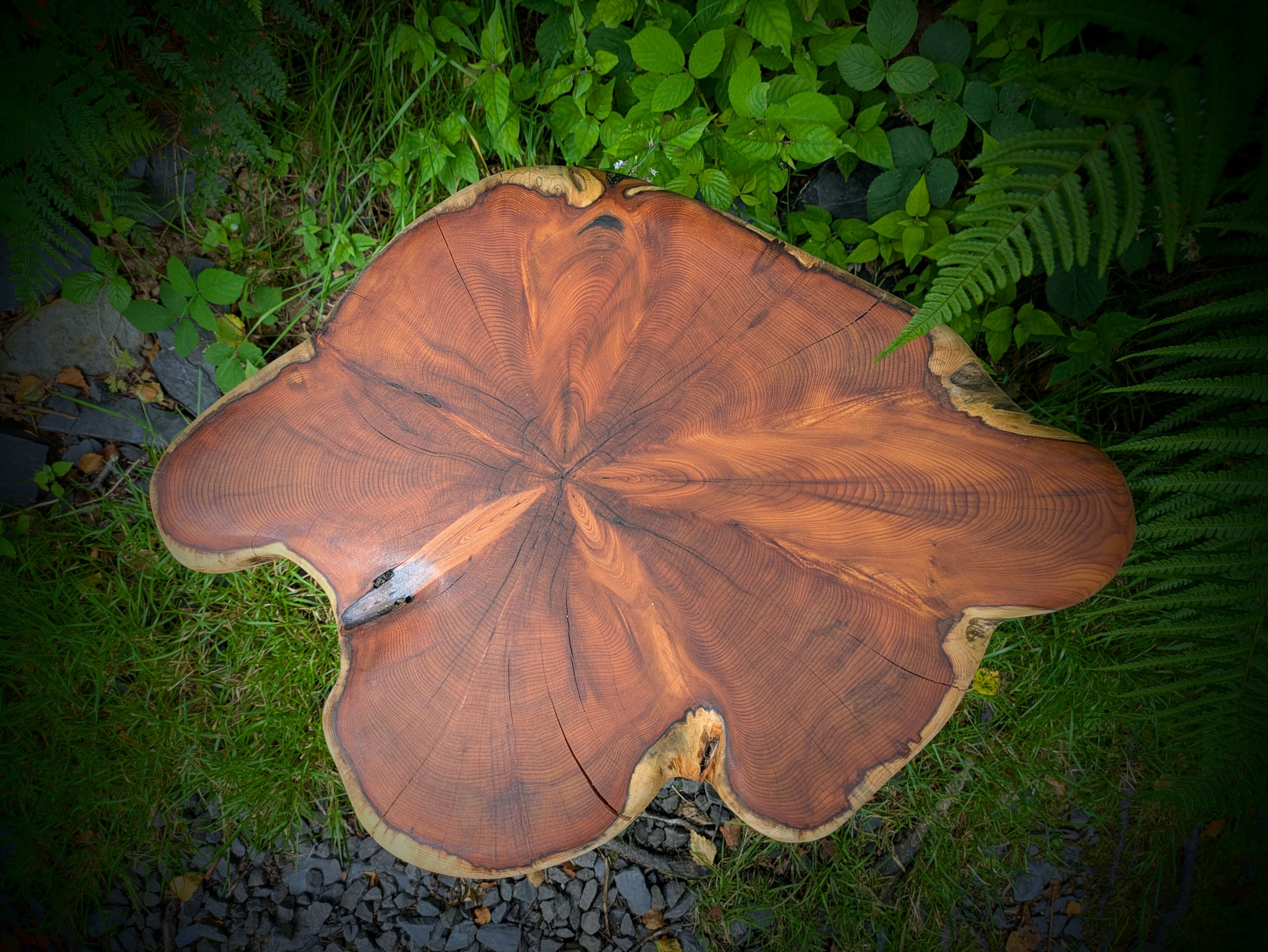 Unique three legged coffee table made from reclaimed Welsh Yew