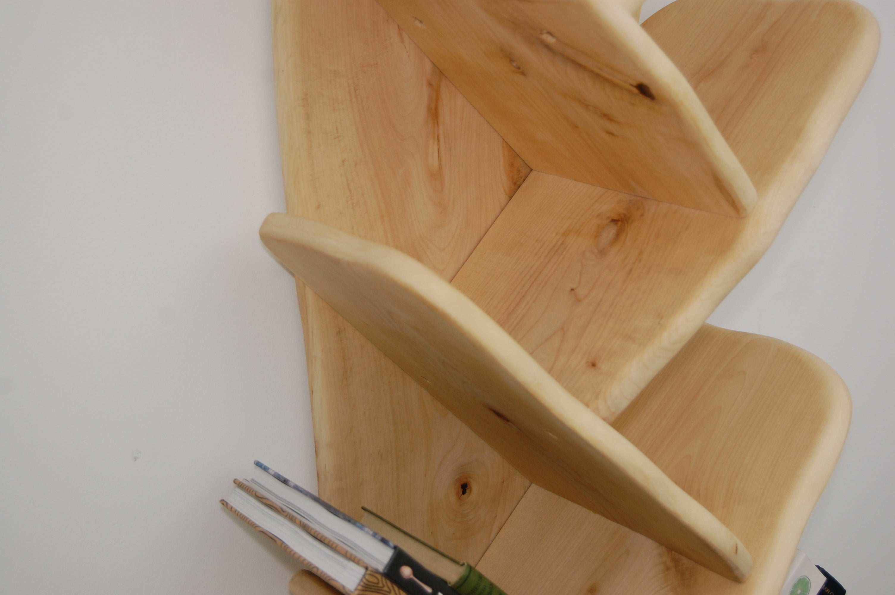 Leaf Bookshelf