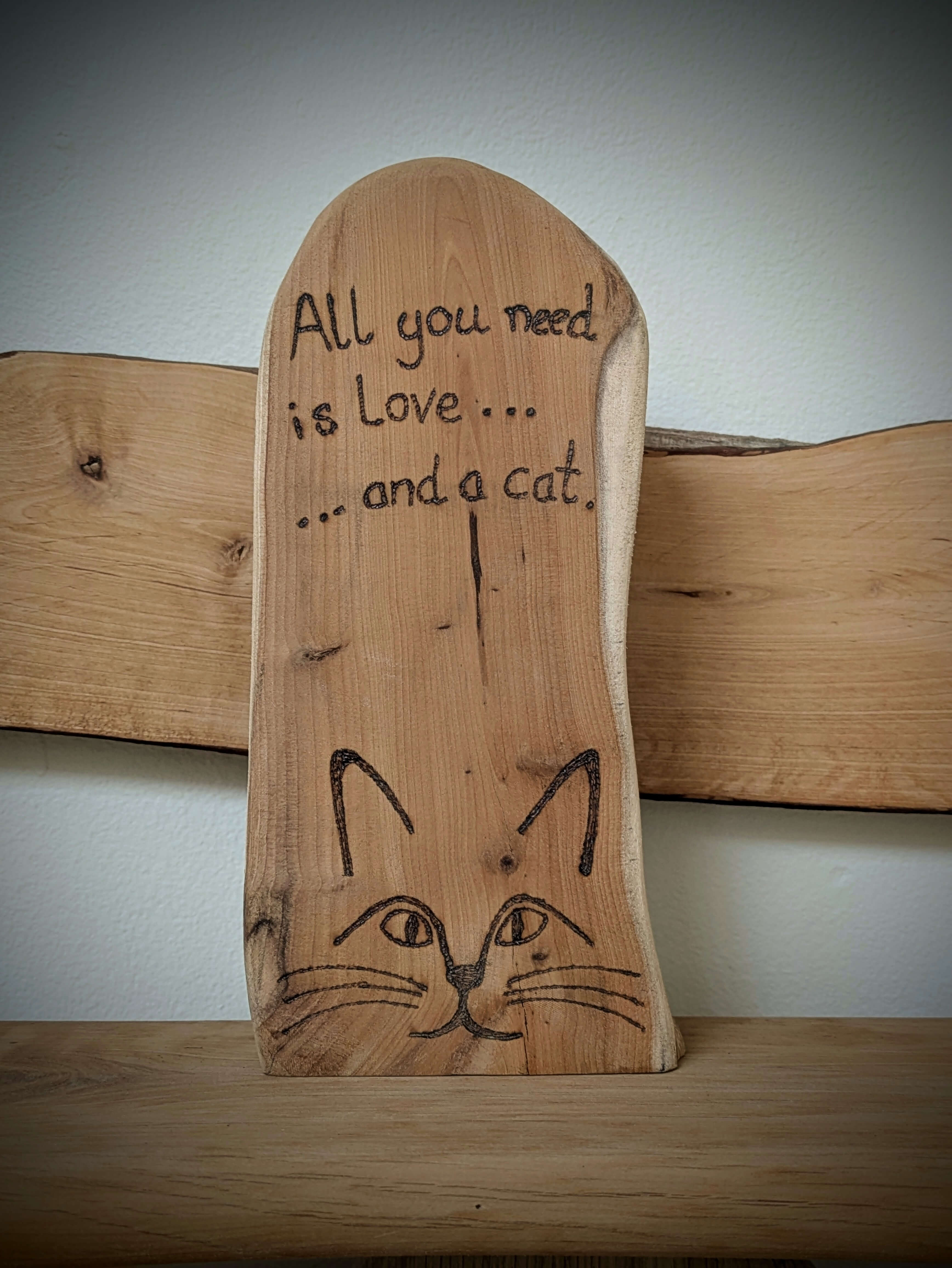 All You Need Is Love and a Cat 