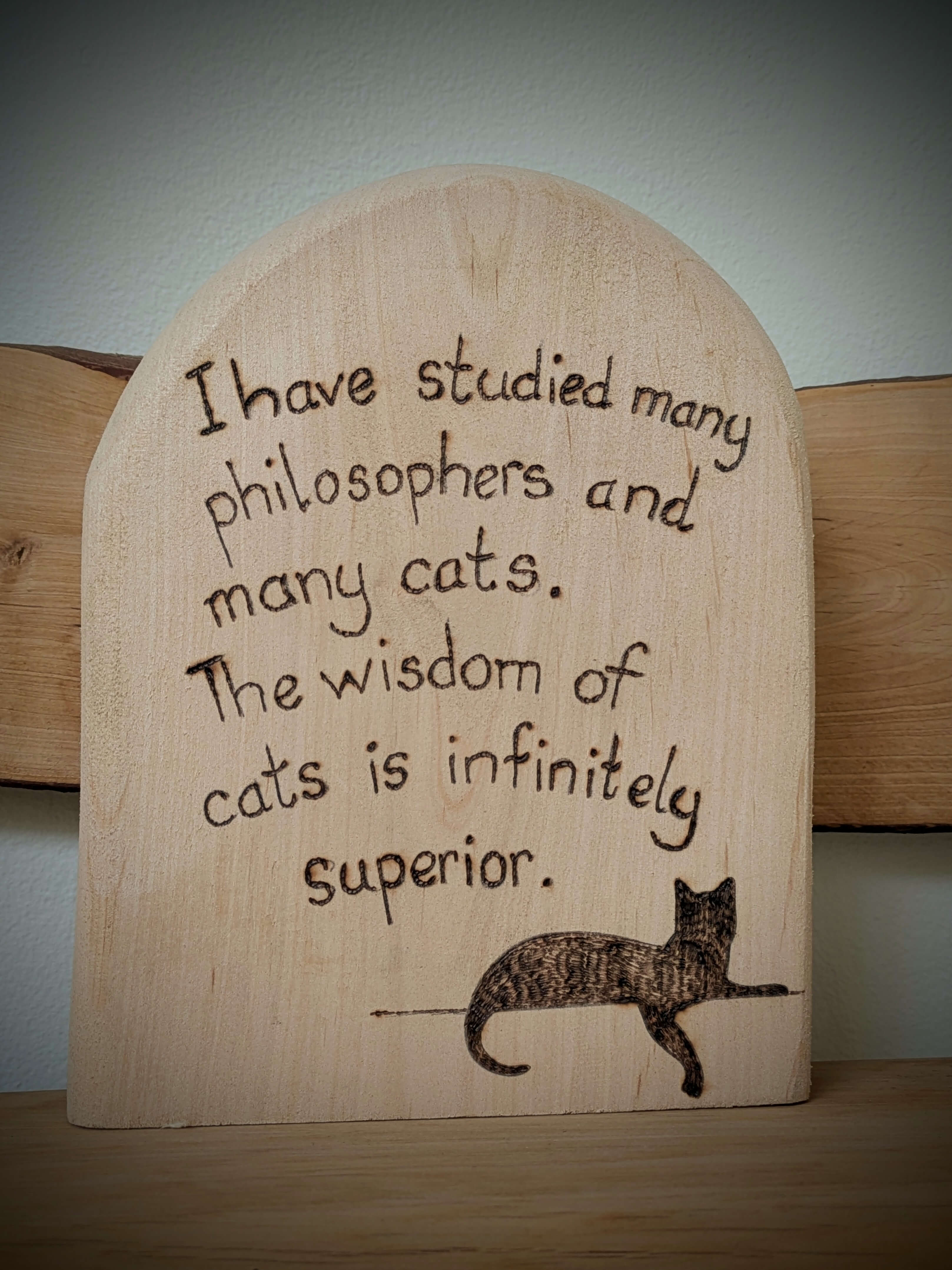 I Studied Many Philosophers Cat Pyrography