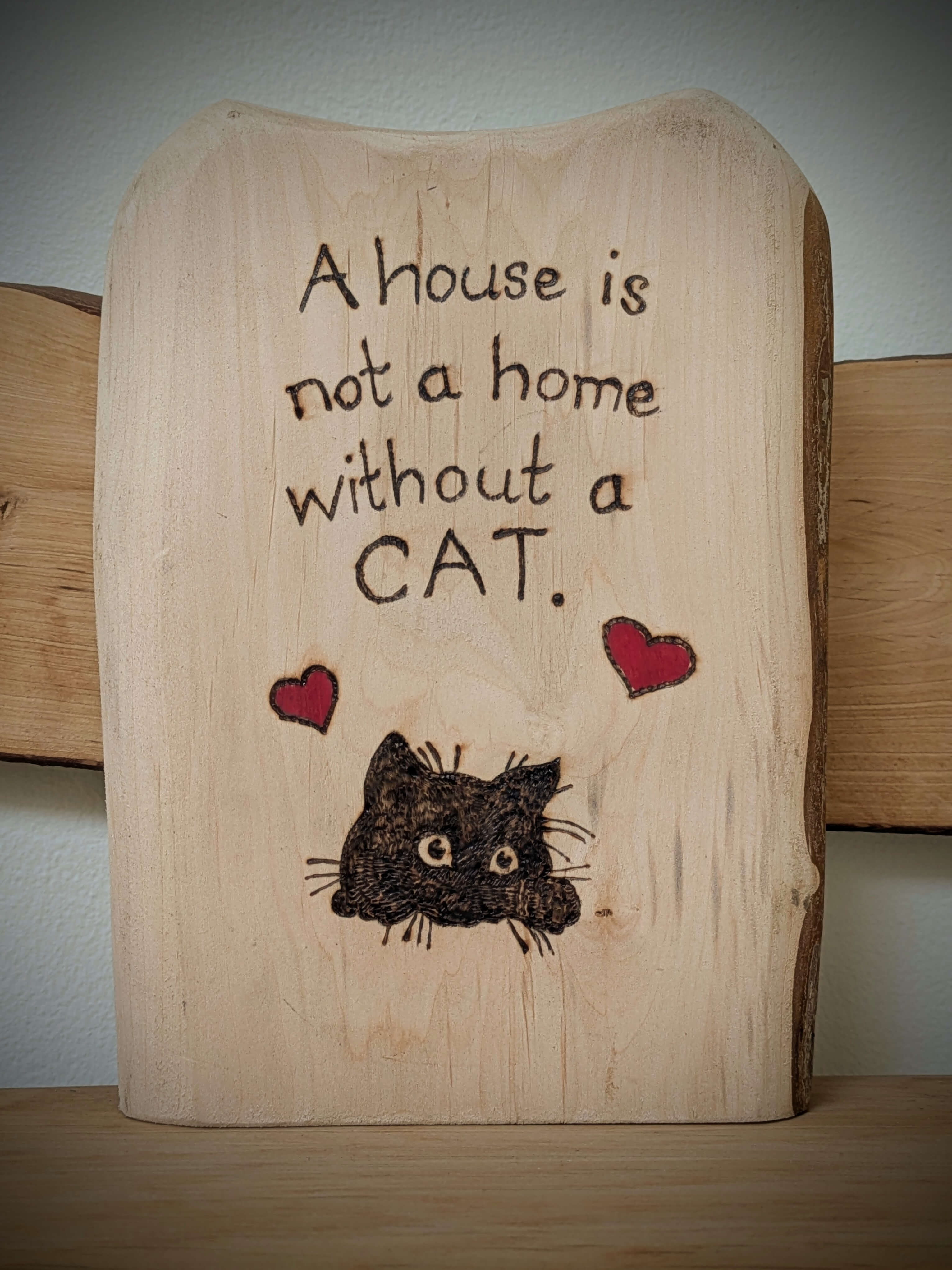 A House is Not a Home Cat Pyrography