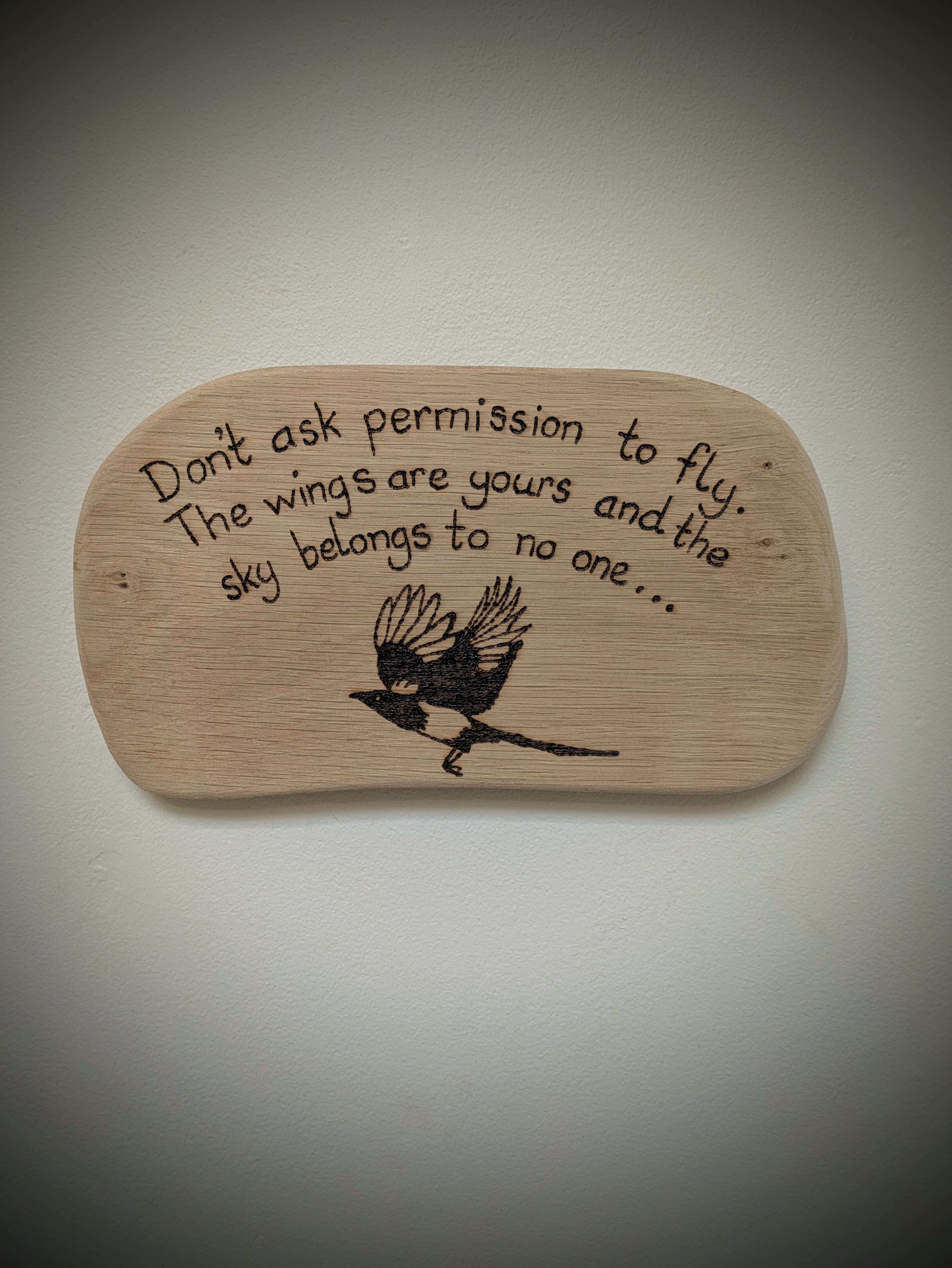 Don’t Ask Permission to Fly