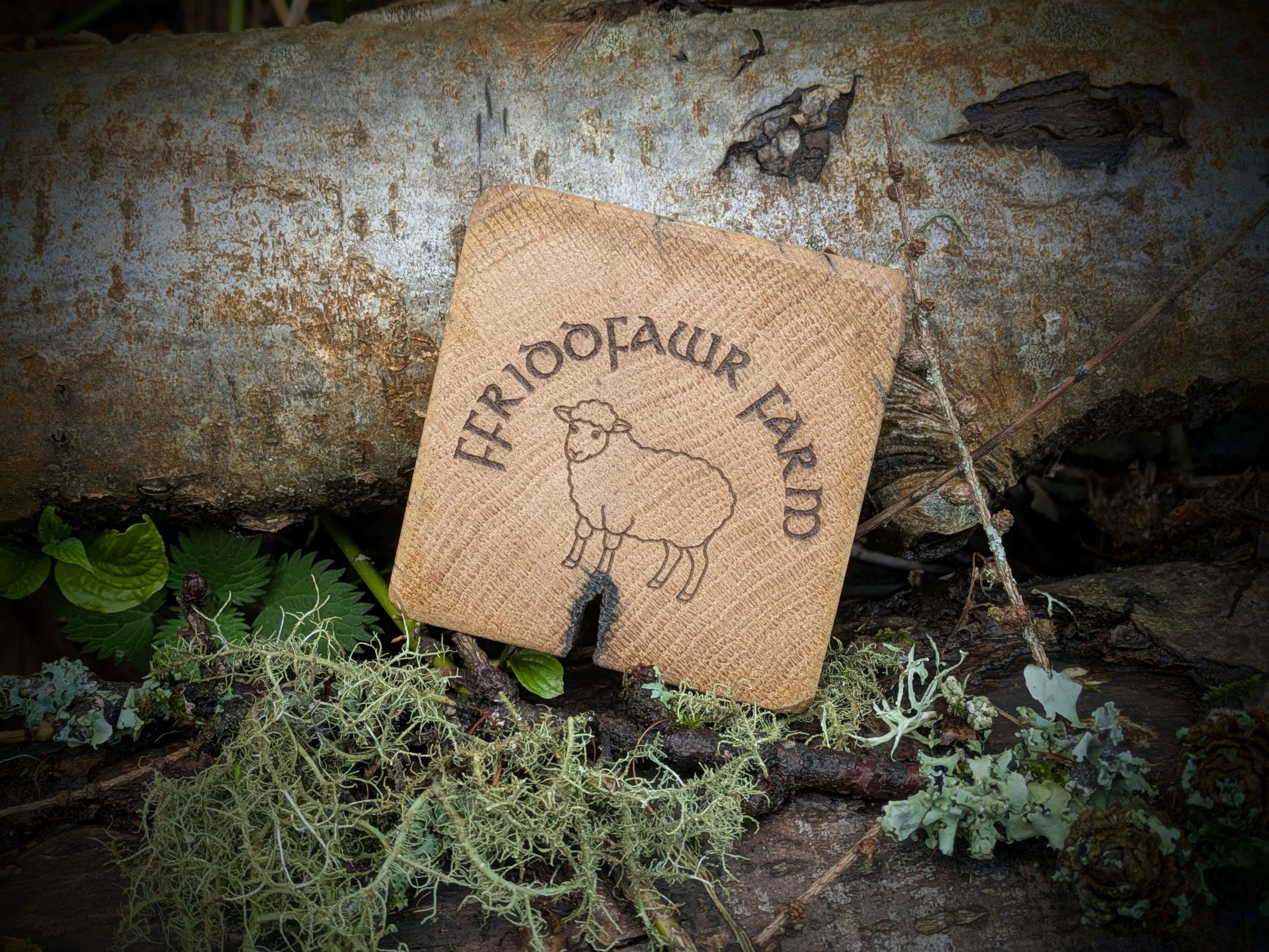 Wooden sign with 'Ferndale Farm' and a sheep illustration on a natural background