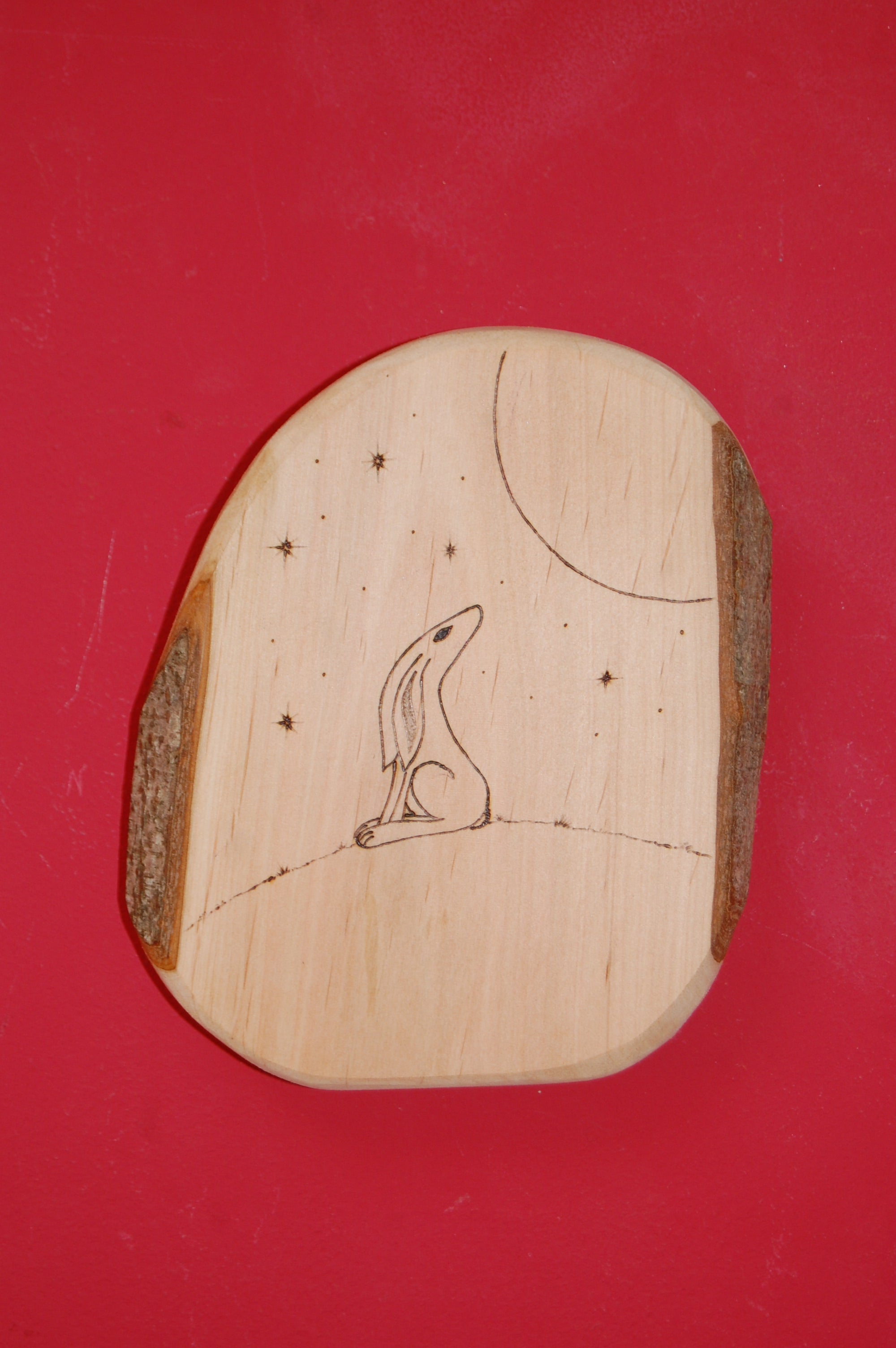 Jumping & Moon Gazing Hares